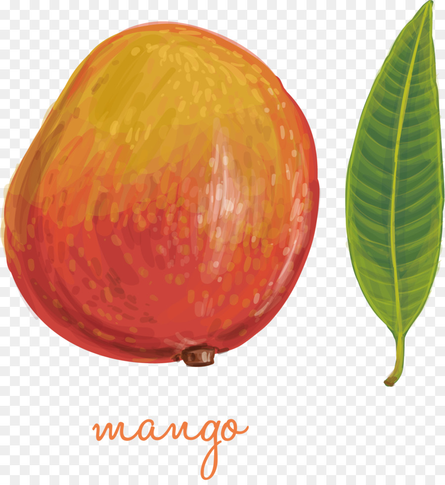 Hoja Mango Obras De Arte Imagen Png Imagen Transparente Descarga