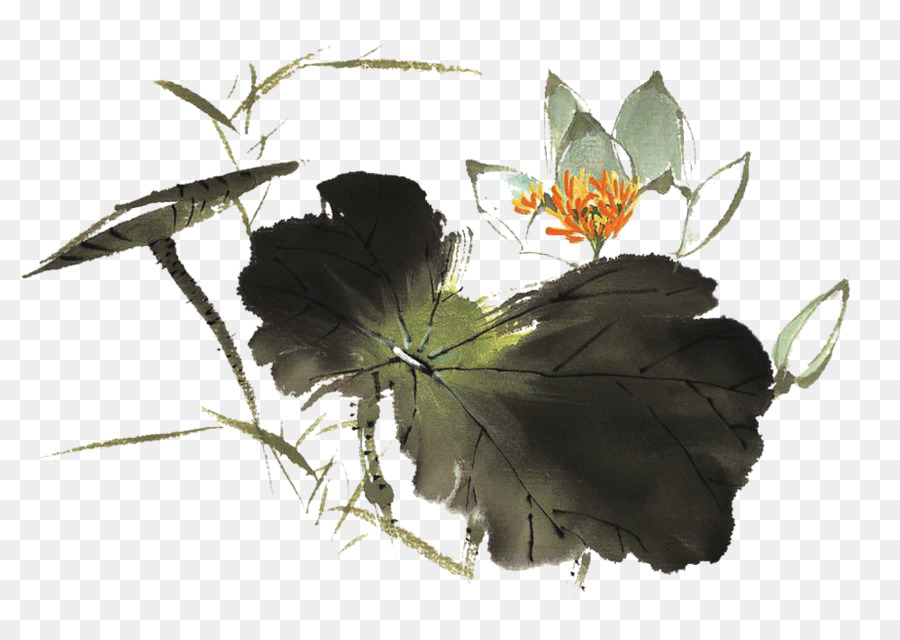 Nelumbo Nucifera Tinta De Lavado De Pintura Pintura Imagen Png