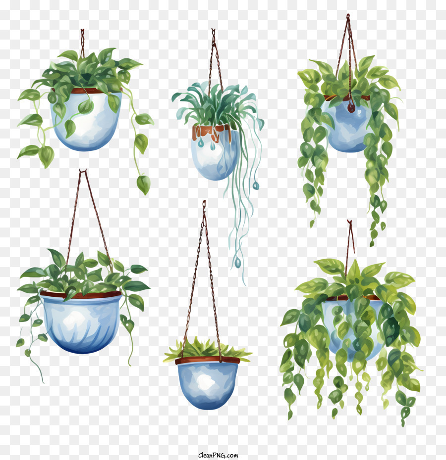 Planta Colgante Con Maceta Las Plantas Colgante Imagen Png Imagen