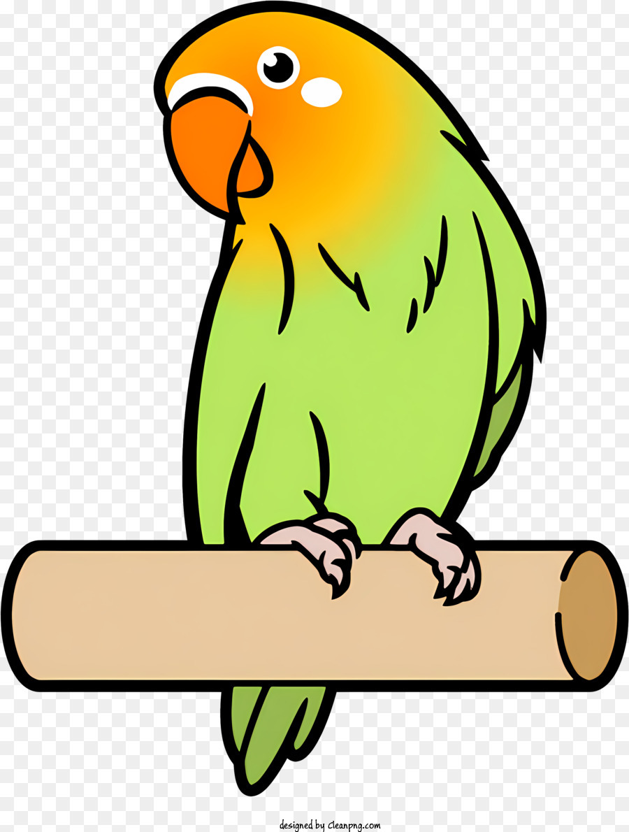 De Dibujos Animados De Parrot Perca De Madera Sorprendido Expresi N