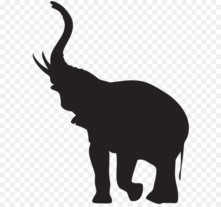 Elefante Africano，Elefante PNG