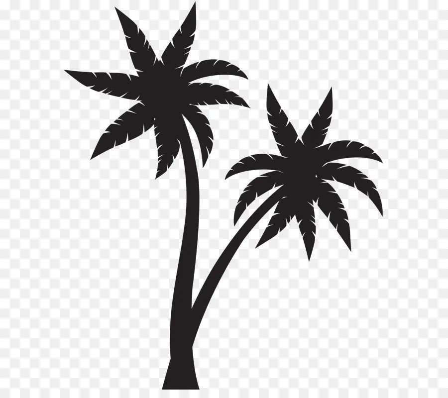 Silueta，Arecaceae PNG