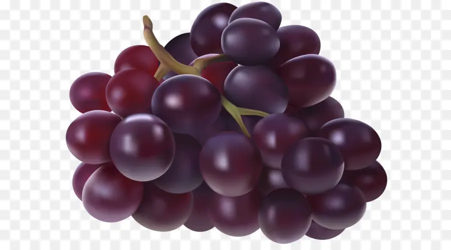 Uvas Moradas Oscuras，Enredadera PNG