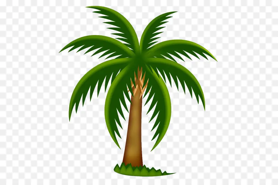 Arecaceae，Blog PNG