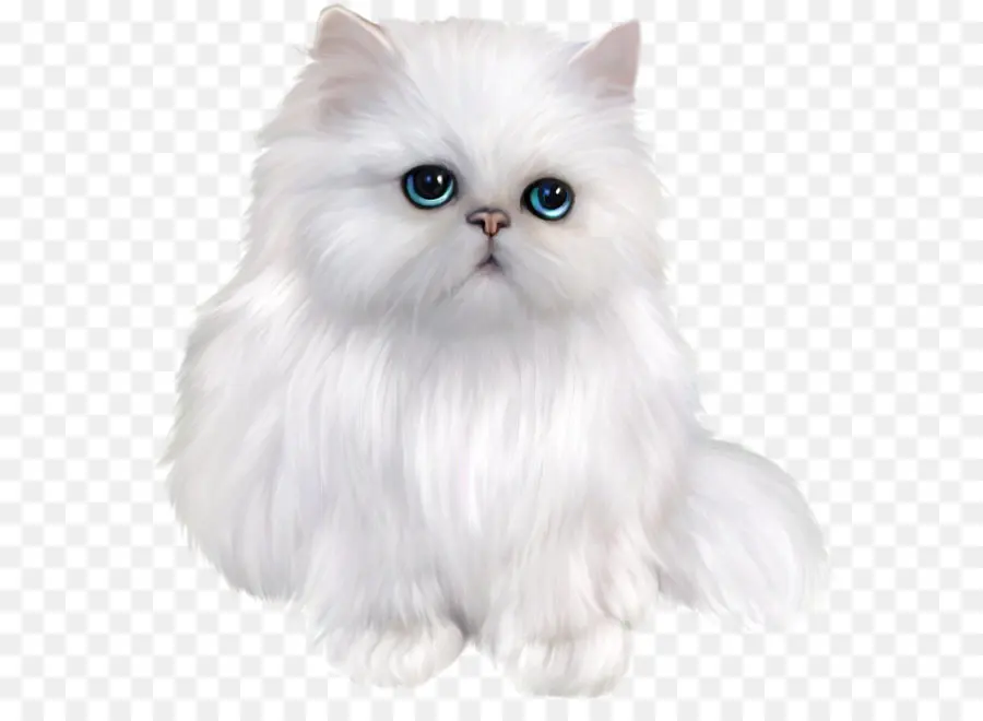 Gatito Esponjoso，Lindo PNG