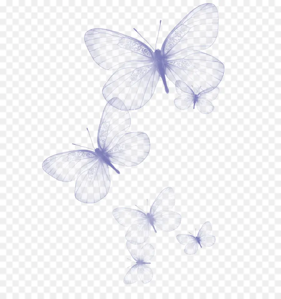 Mariposa，Greta Auto PNG