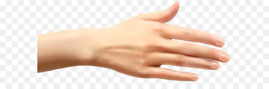 Mano，Dedos PNG