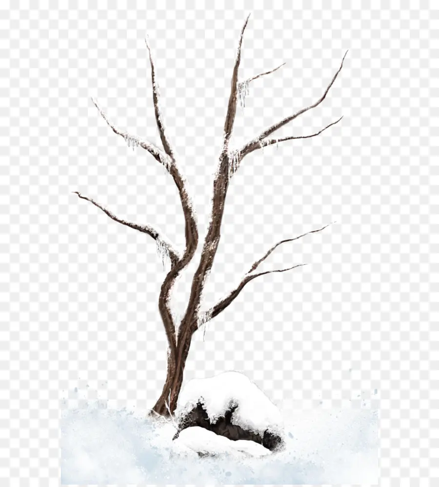 Árbol，La Nieve PNG