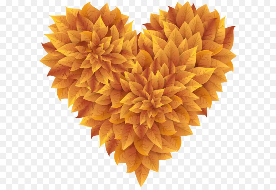 Corazón De Hojas，Hojas PNG