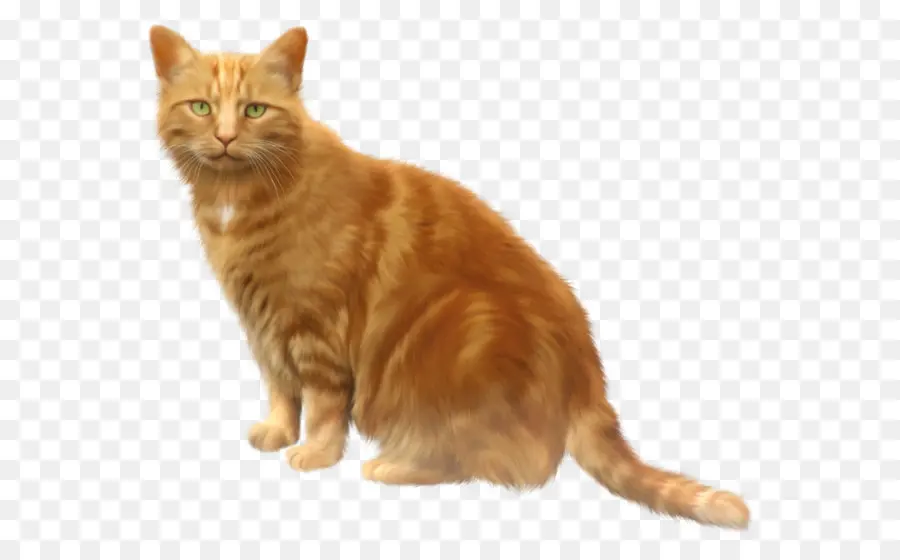 Gato Naranja，Mascota PNG