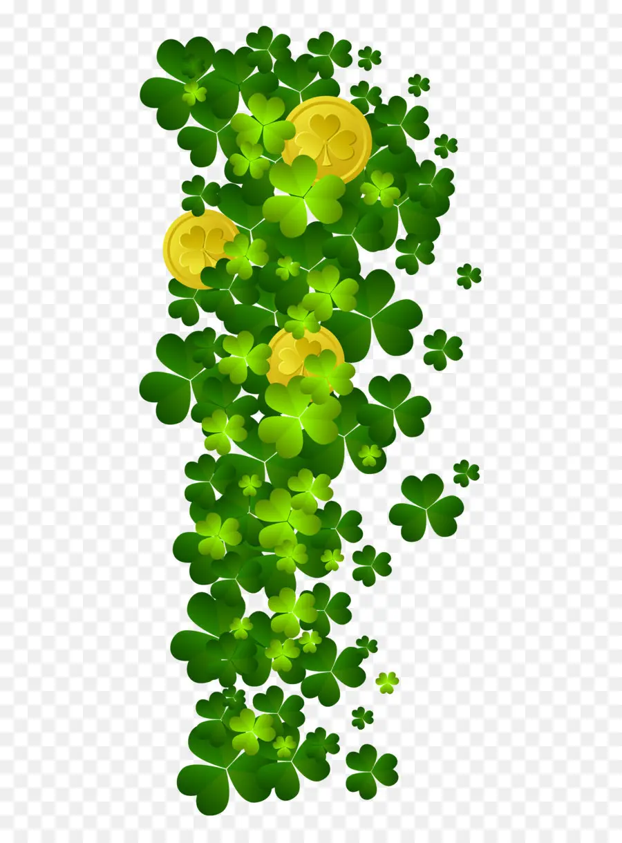 Irlanda，Saint Patrick S Día PNG