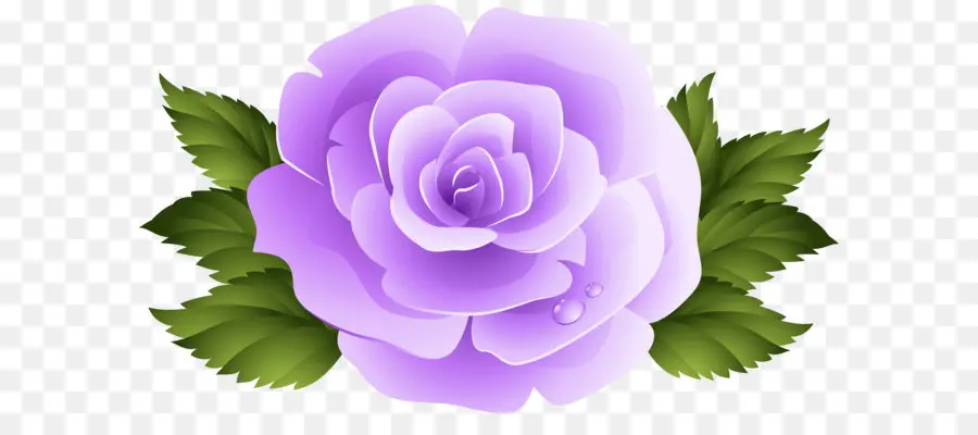 Rosa，Flor PNG