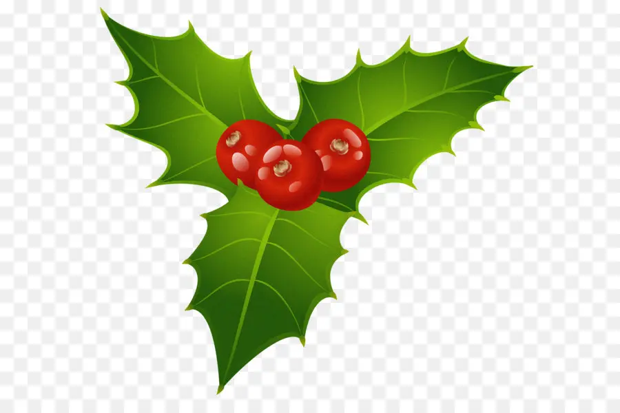 Común Holly，El Muérdago PNG