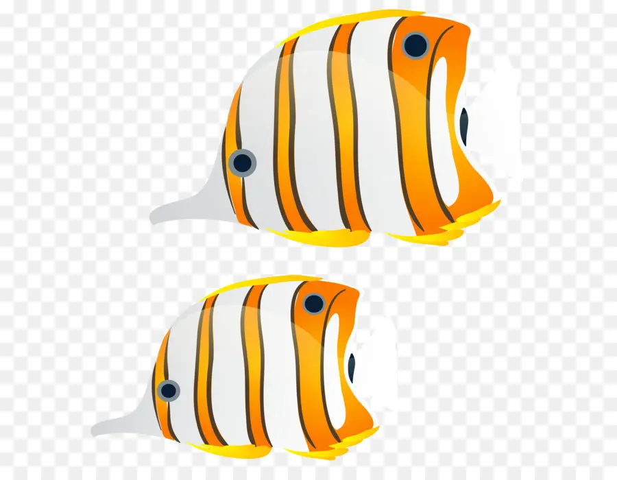 Angelfish，Los Peces PNG