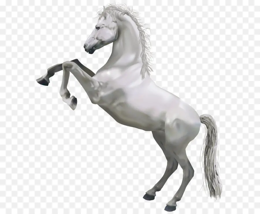 Caballo，Descargar PNG