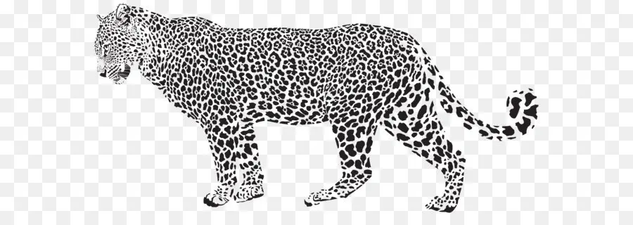 Leopardo，Felino De Gran Tamaño PNG