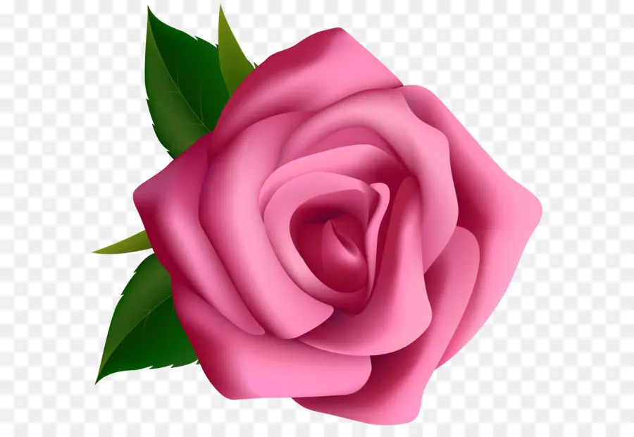 Rosa，Gratis PNG