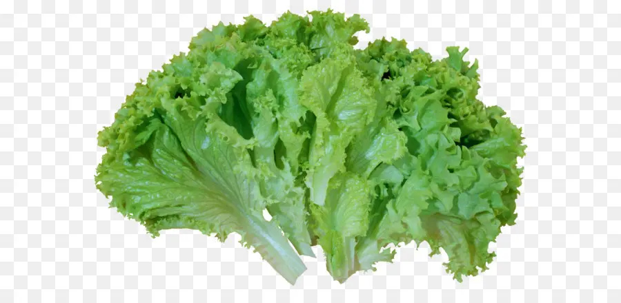 Butterhead Lechuga，Ensalada PNG