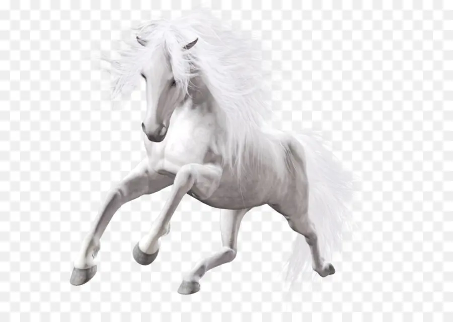 Lipizzan，American Pintura Caballo PNG