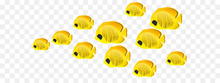 Los Peces，Ornamentales Pescado PNG