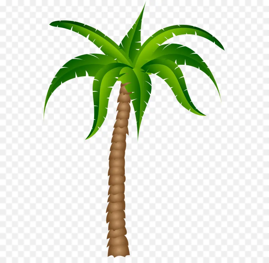 Arecaceae，Árbol PNG