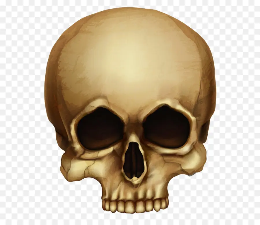 Calavera，Bien PNG