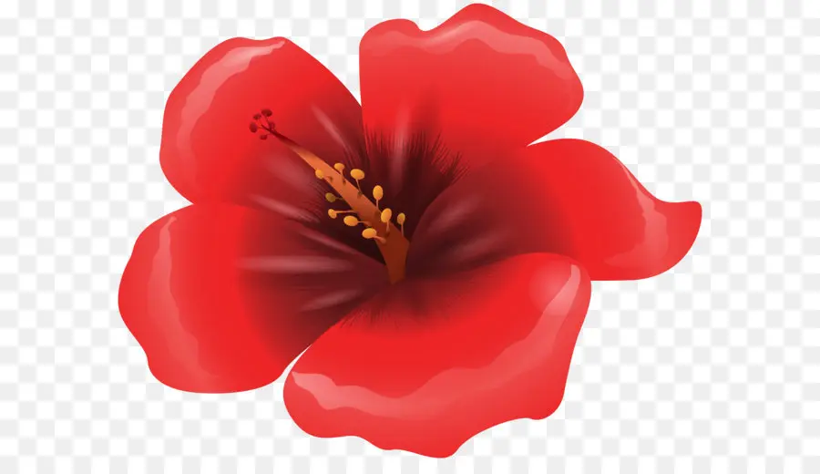 Flor，Rojo PNG