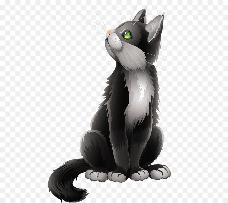 Gato Blanco Y Negro，Mascota PNG