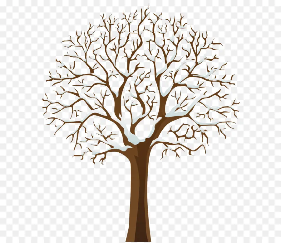 Árbol，Invierno PNG