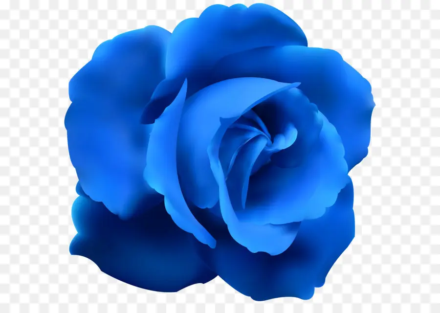 Rosa Azul，Pétalos PNG