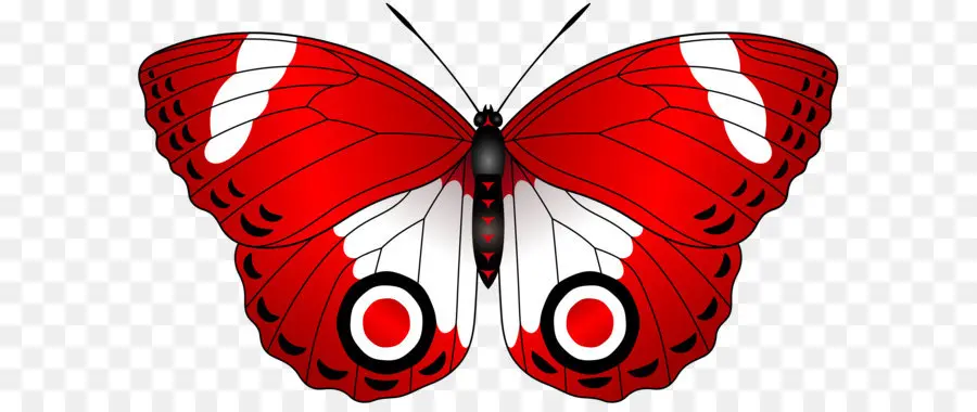 Mariposa，Rojo PNG