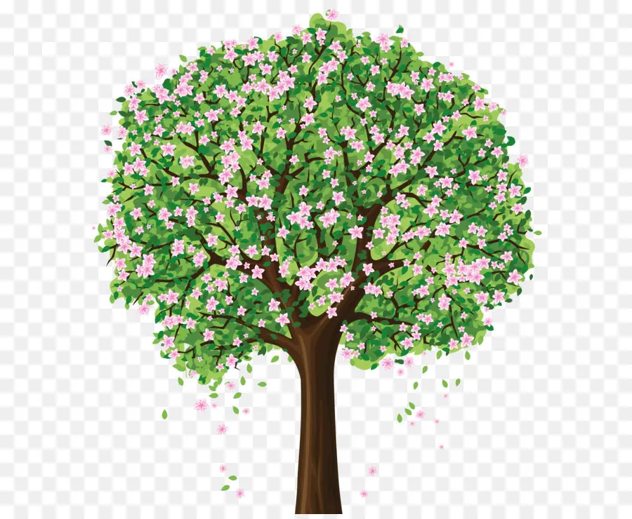 árbol Floreciente，Flores PNG