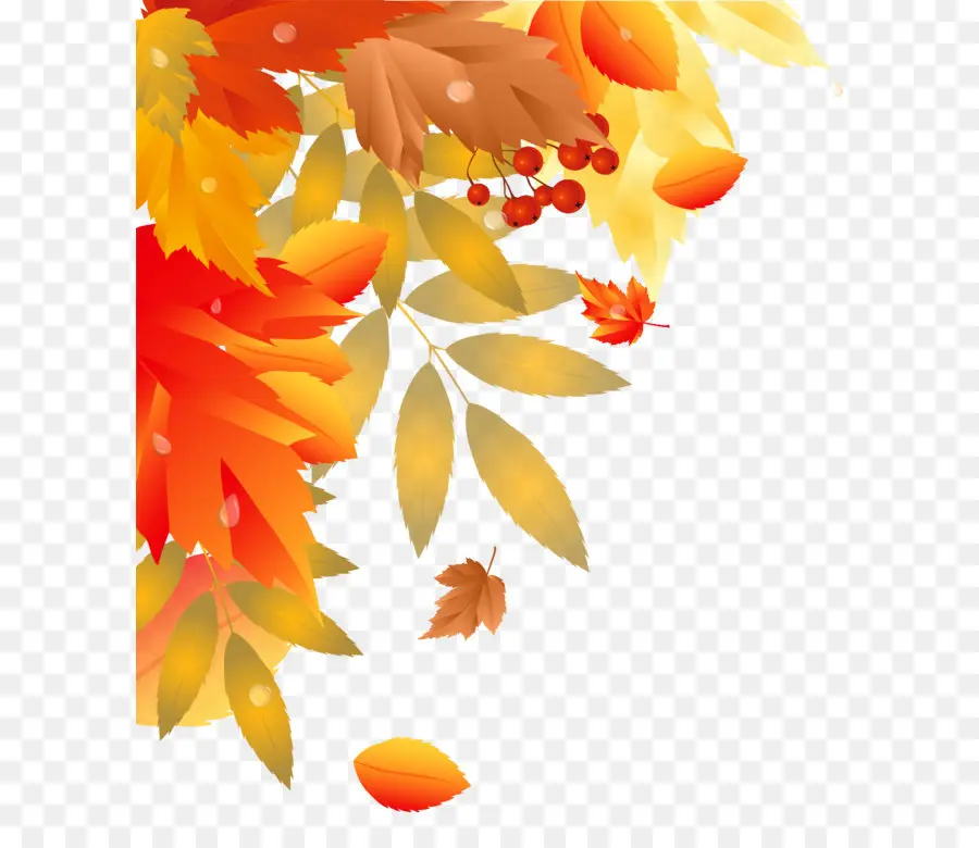 Hojas De Otoño，Caer PNG