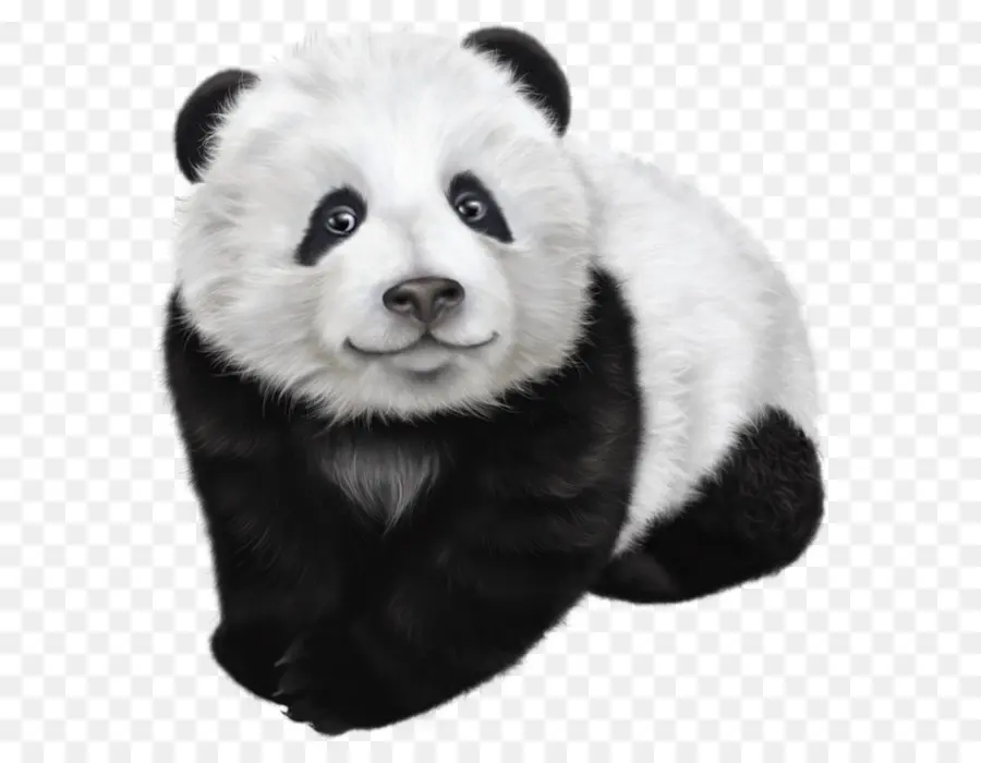 Panda，Lindo PNG