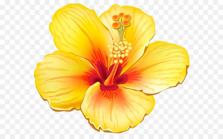 Flor，Amarillo PNG