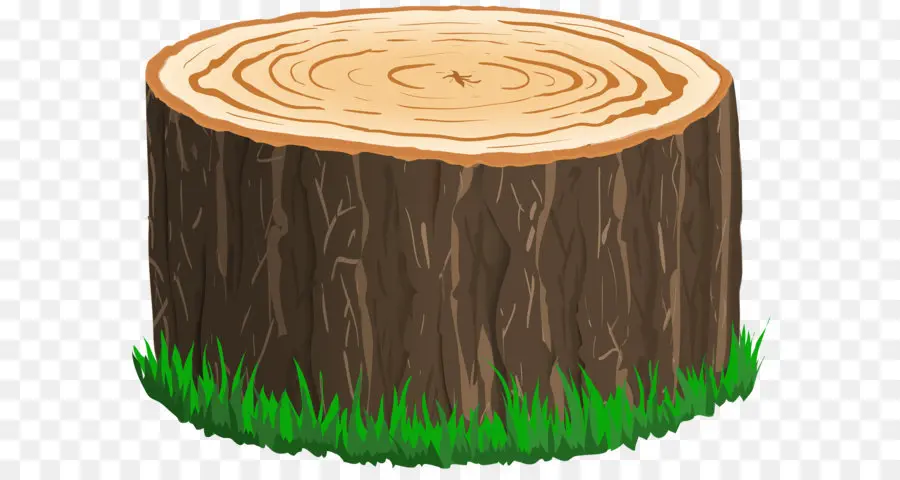 árbol De Muñón，Árbol PNG