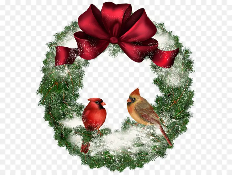 La Navidad，Aves PNG