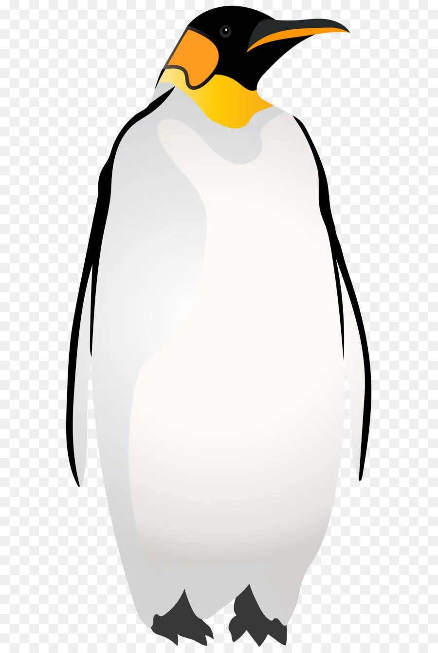 Pingüino，Pájaro PNG