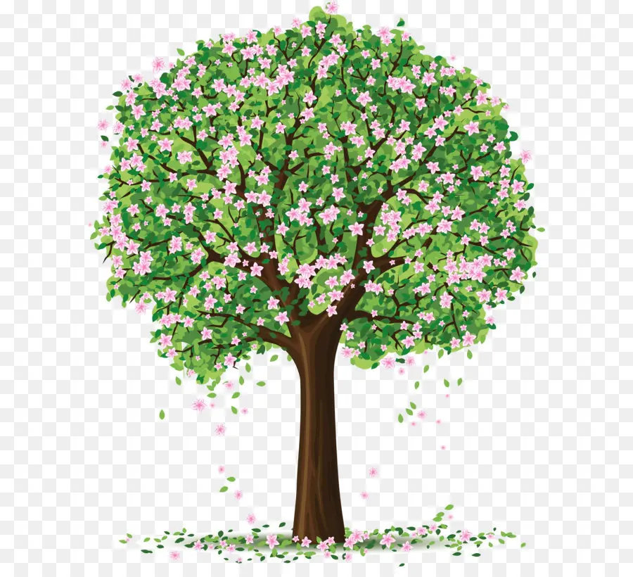 Árbol，La Primavera PNG