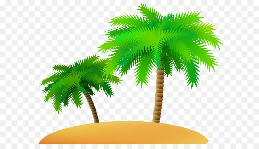 Palmera，Playa PNG