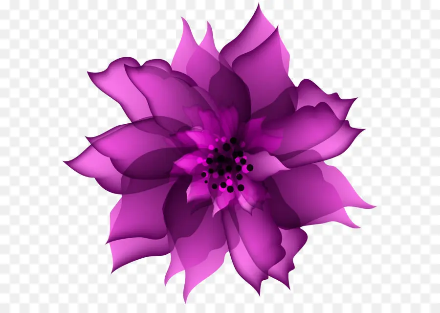 Flores，Púrpura PNG