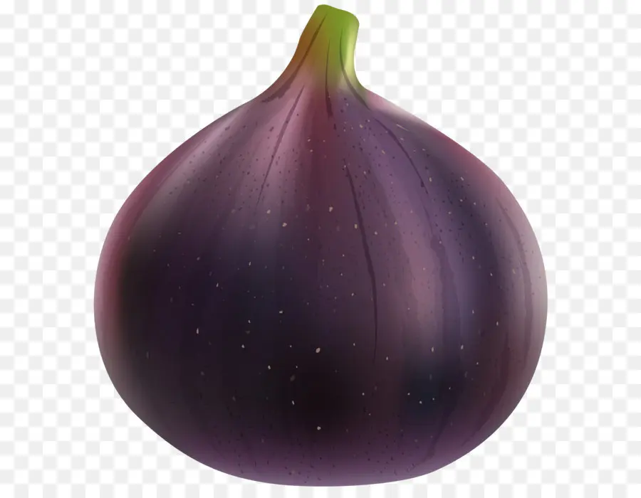 Violeta，Morado PNG