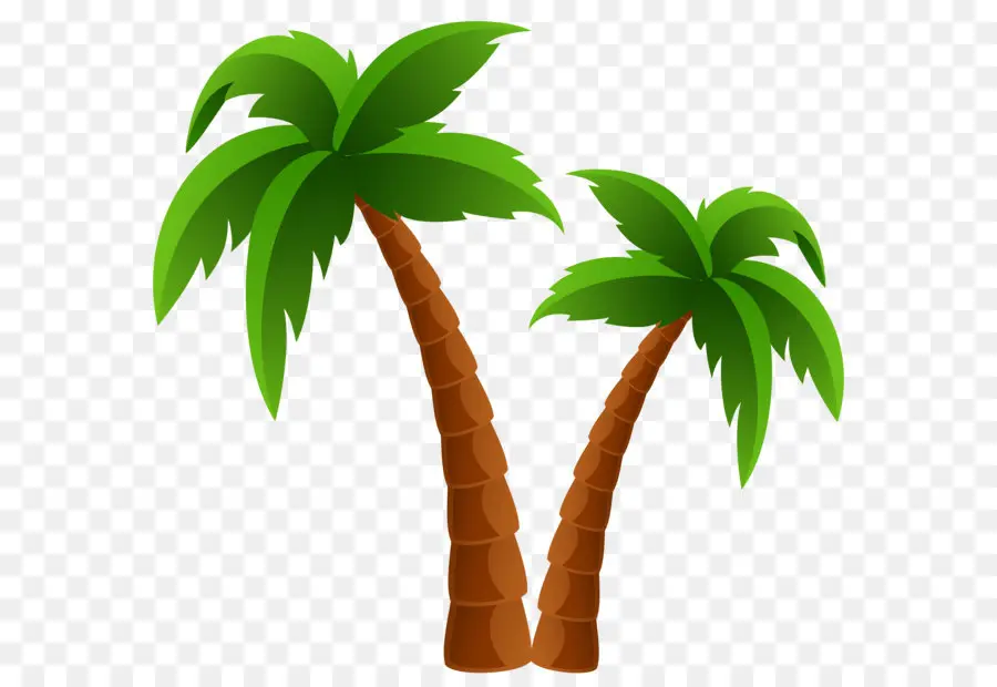 Arecaceae，Árbol PNG