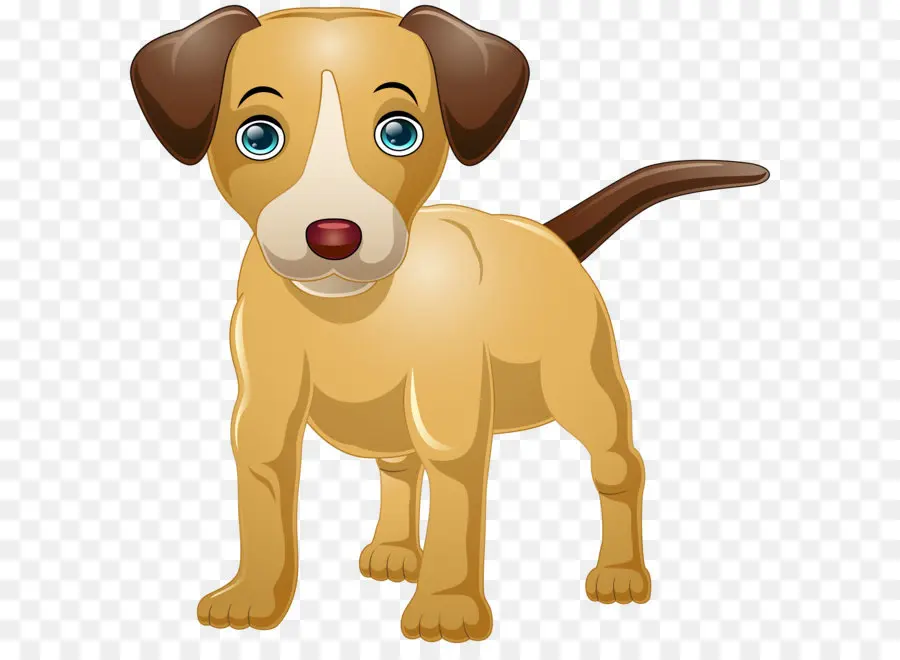 Cachorro，Perro PNG