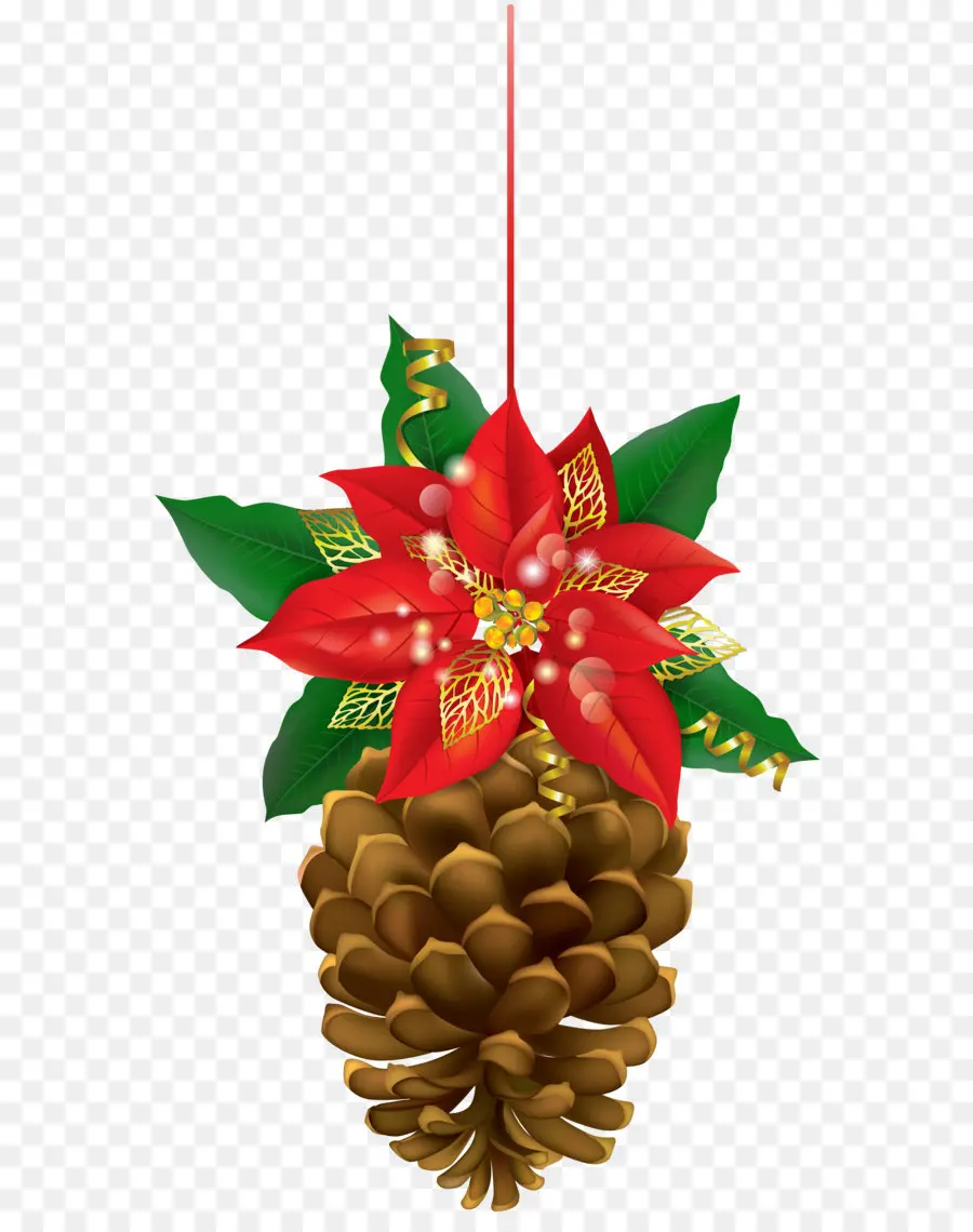 Navidad，Cono De Coníferas PNG