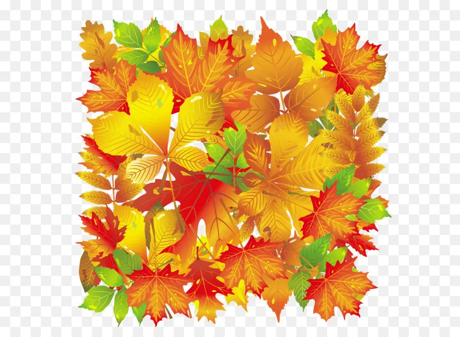 Hojas De Otoño，Caer PNG