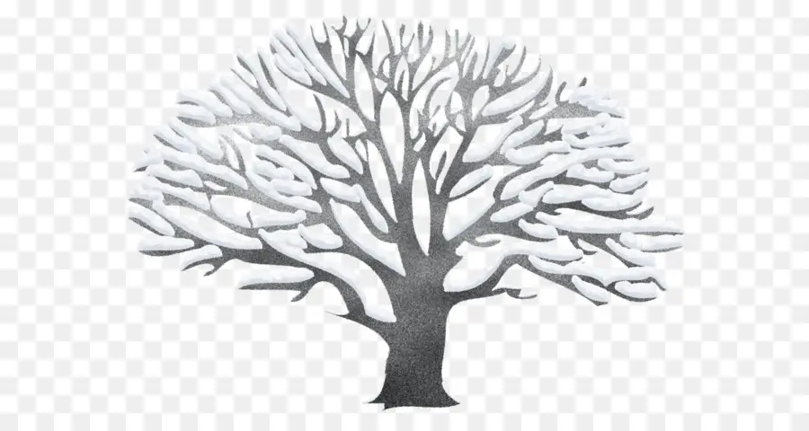 Árbol，Invierno PNG