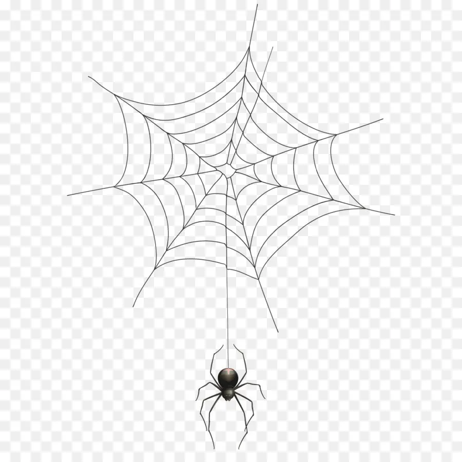 Araña，Spider Web PNG