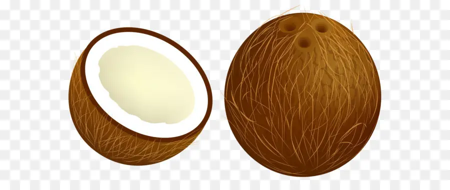 Coco，Arecaceae PNG