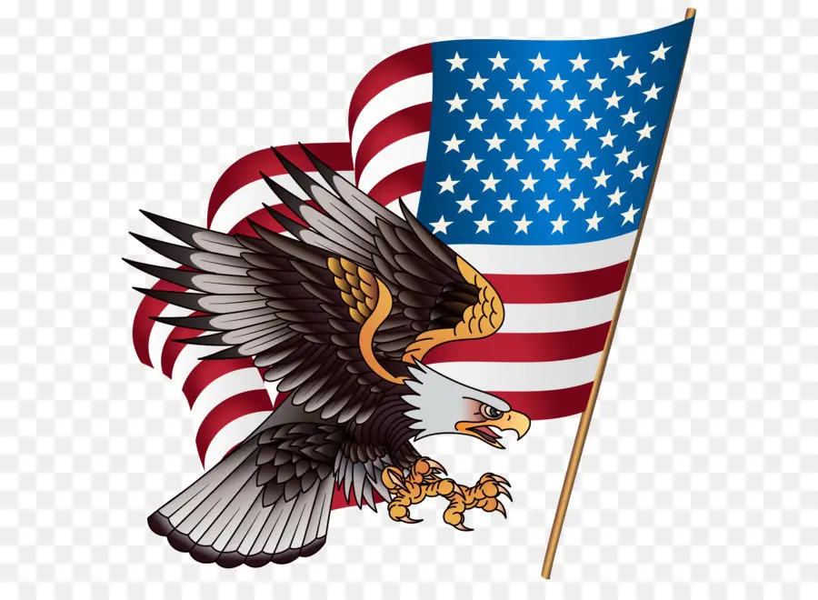 Estados Unidos，Calvo águila PNG